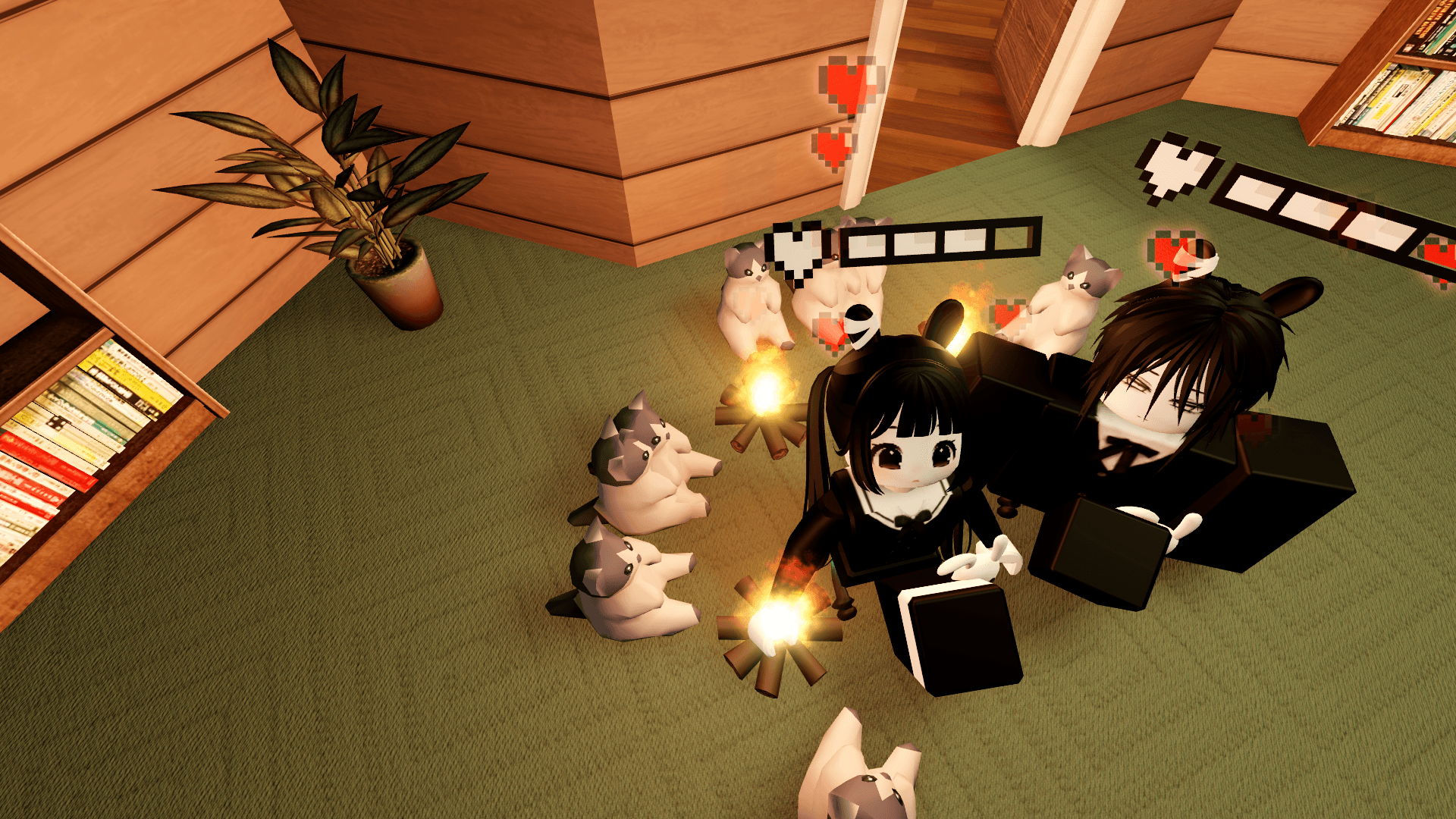 Bersama kucing-kucing di ruangan hangat