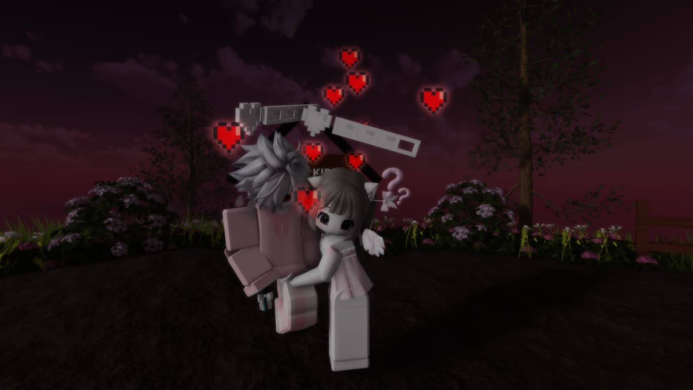 Berpelukan di taman saat sunset