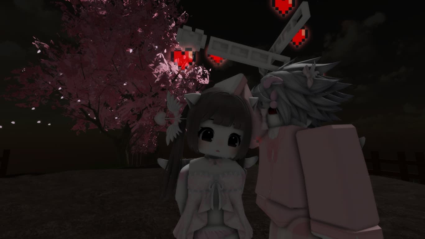 Bersama di bawah pohon sakura malam hari